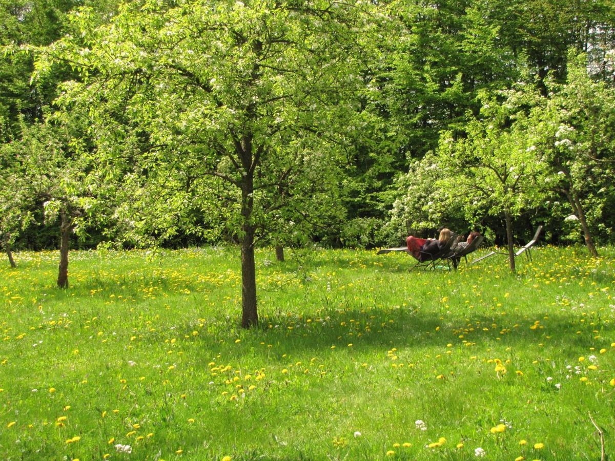 Yoga Vidya Ashram Hotel Horn-Bad Meinberg Kültér fotó